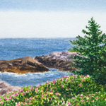 View from Blueberry Hill, Schoodic Peninsula