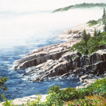 Pretty Picture: Acadia Fog and Roses