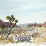 Joshua Tree National Park, View to South