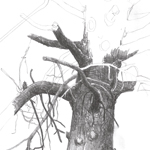 Tree Trunk sketch